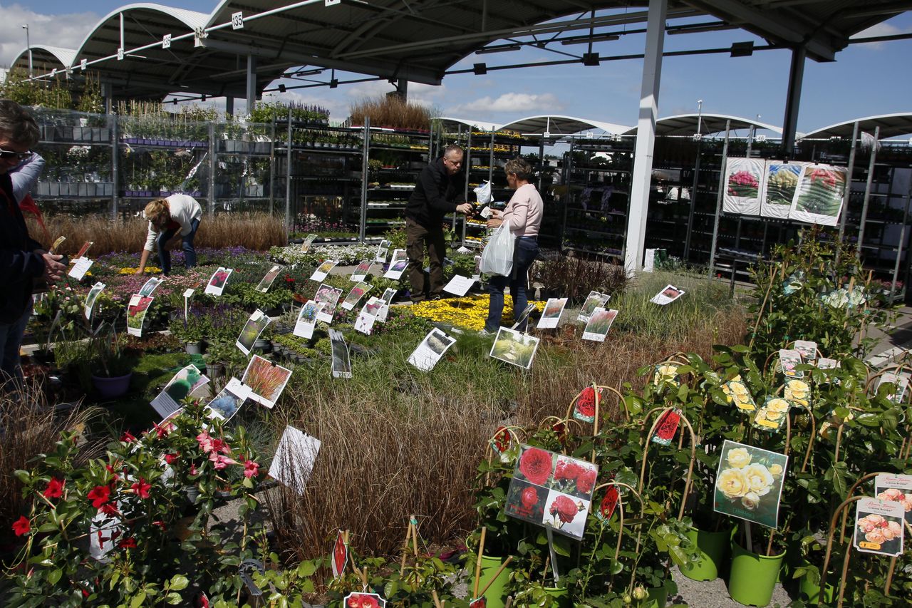 Wiosna w Ogrodzie 2026